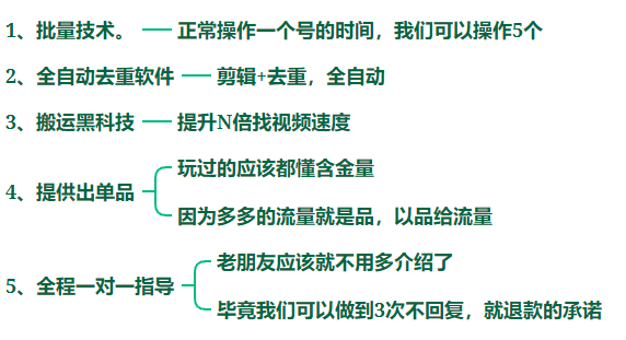 第46期：【多多进宝视频带货项目】