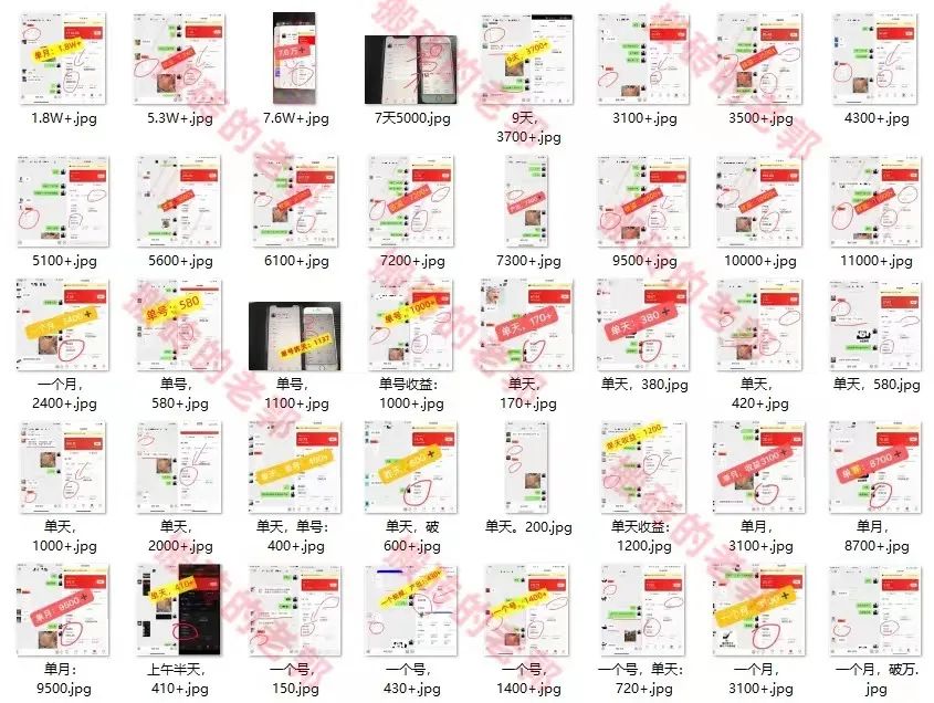 第46期：【多多进宝视频带货项目】